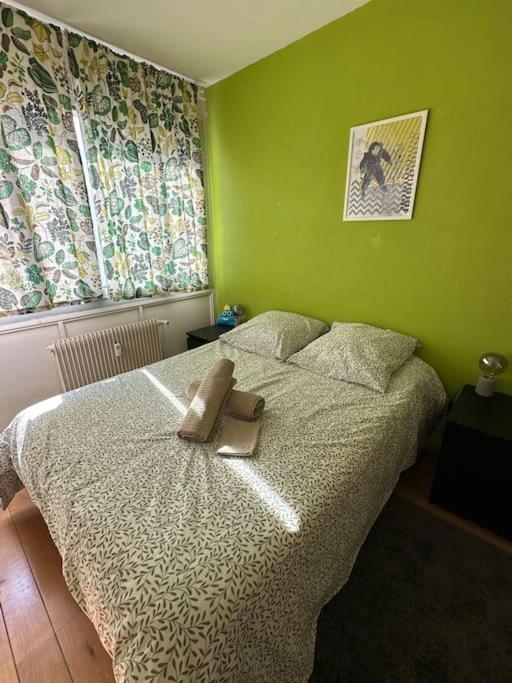 Appartement Cosy Clermont-Ferrand Exteriör bild